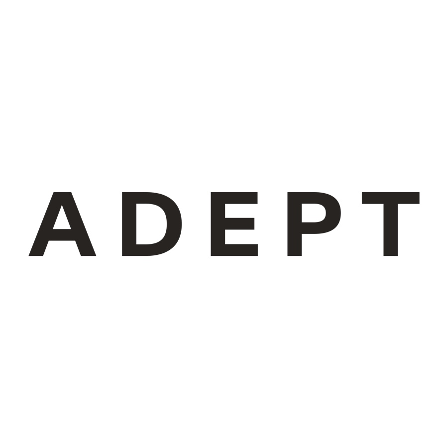 https://onfjbfzboswbvycybxaj.supabase.co/storage/v1/object/public/Icons/adept.jpg