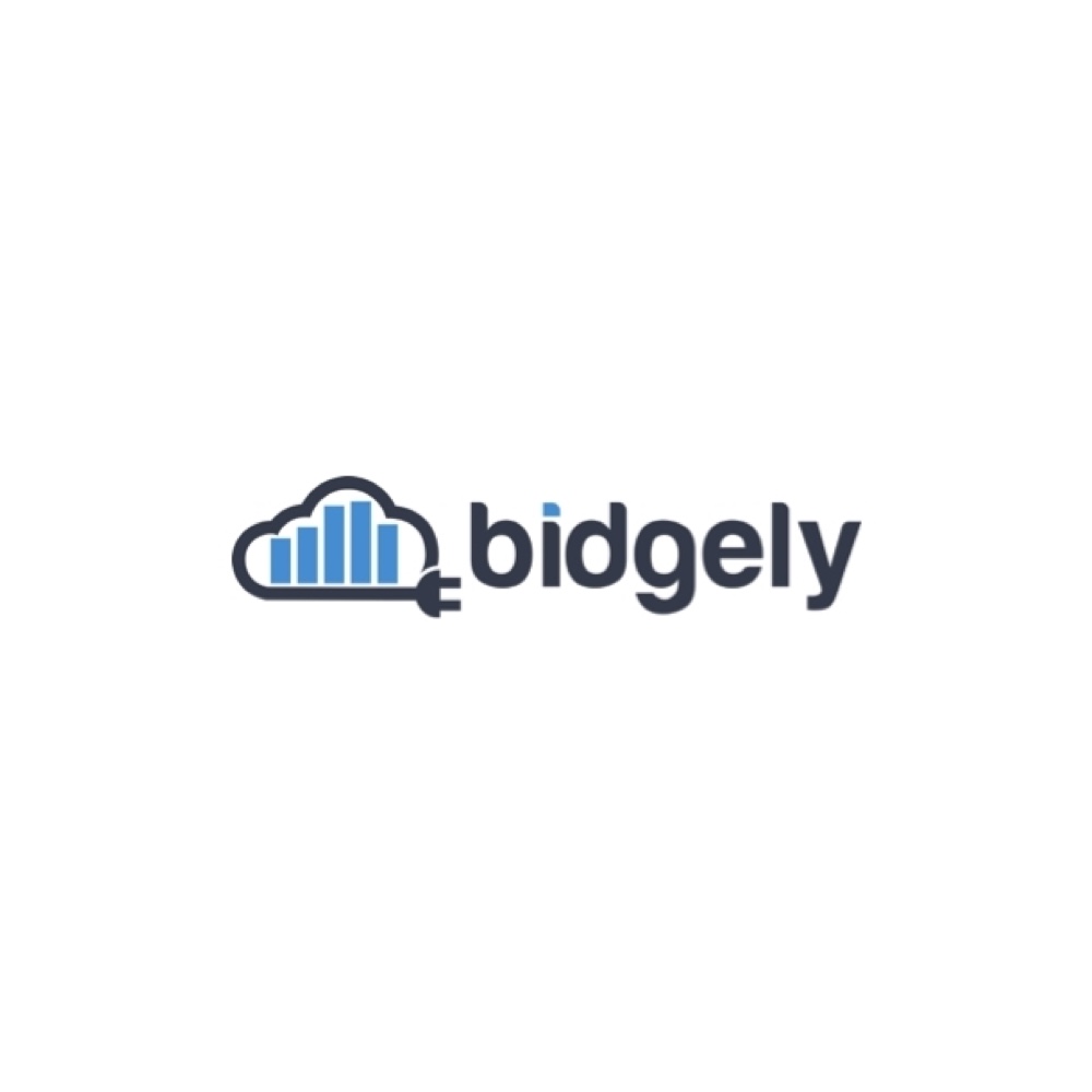 https://onfjbfzboswbvycybxaj.supabase.co/storage/v1/object/public/Icons/bidgely.jpg