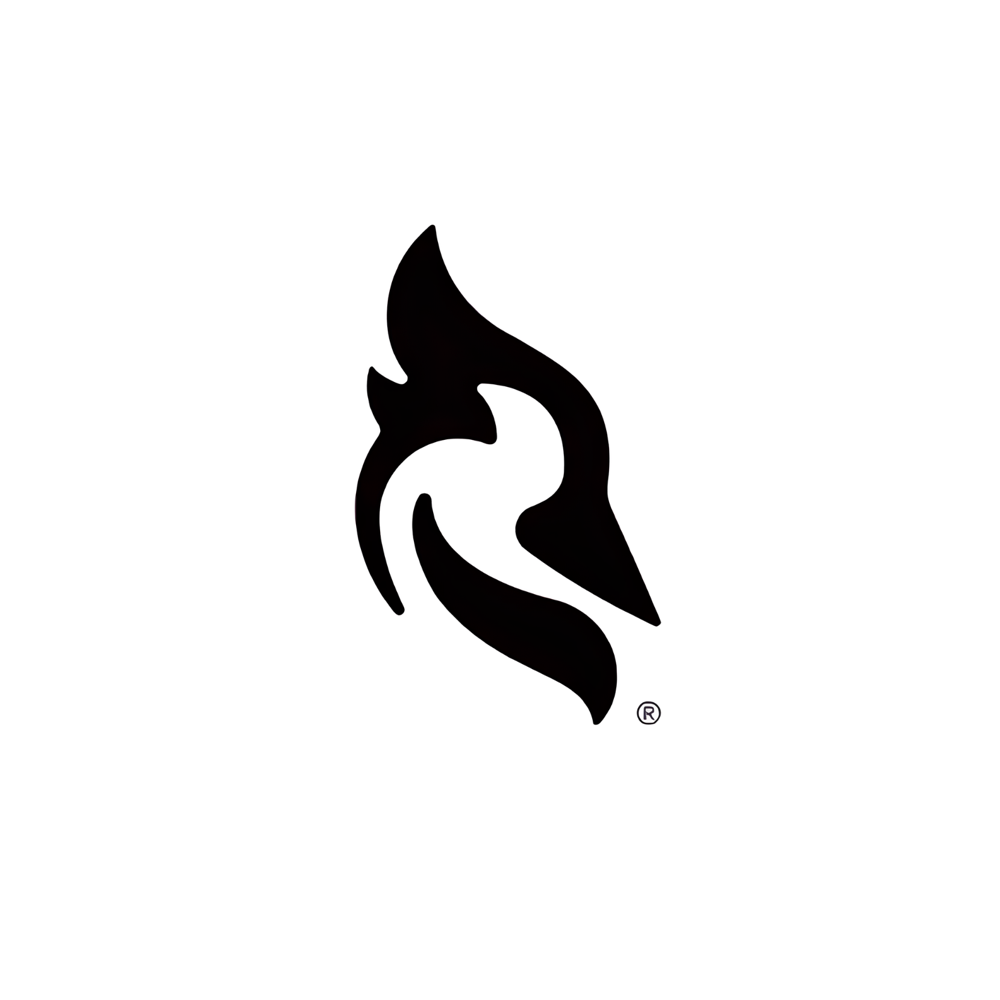 https://onfjbfzboswbvycybxaj.supabase.co/storage/v1/object/public/Icons/woodpecker.png